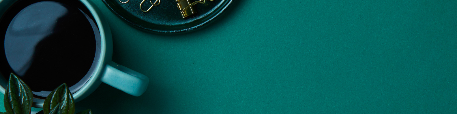 bannerbrr